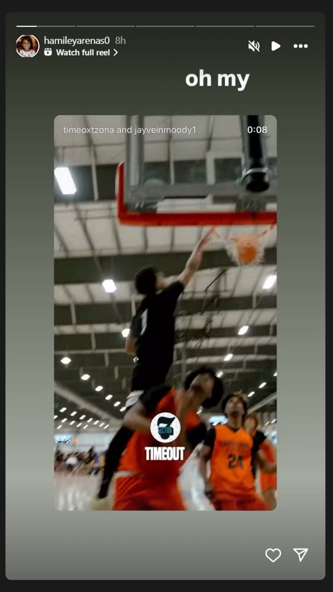 Screenshot via Instagram (@hamileyarenas0/IG)